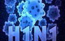 Vĩnh Long: Đi du lịch về, người phụ nữ tử vong vì nhiễm cúm A/H1N1