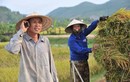Ông Nguyễn Mạnh Hùng góp phần đưa Viettel về nông thôn thế nào?
