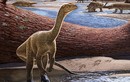 Phát hiện loài khủng long lâu đời nhất châu Phi, bí mật dần hé lộ
