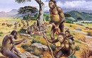 Phát hiện vết cắt hóa thạch, lộ sự thật sốc về tổ tiên loài người