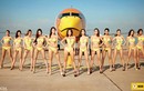 Bộ ảnh Ngọc Trinh quảng cáo cho VietJet Air là “hàng nhái“?