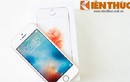 Tại sao dân sành thất vọng với "hàng nóng" iPhone SE? 