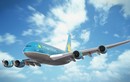 Máy bay Vietnam Airlines hạ cánh khẩn cấp để cứu khách