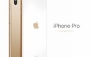 Ngây ngất trước iPhone Pro dùng cảm biến Touch ID trên màn hình