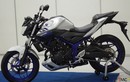 Từ A-Z naked bike Yamaha MT-25 giá 75 triệu đồng vừa ra mắt 