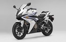 Cận cảnh sportbike Honda CBR500R 2016 vừa ra mắt