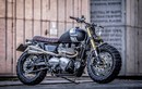 Triumph Boneville T100 độ scrambler “bánh béo” cực độc