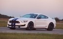 Ford Mustang GT350 mạnh ngang siêu xe nhờ hãng độ Mỹ