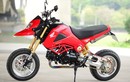 Honda MSX 125 “độ hết bài” phong cách Ducati Hyperstrada 