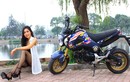 Chân dài Hà thành “hở bạo” bên chân ngắn Honda MSX