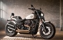 Harley-Davidson Softail 2018 giá từ 329 triệu có gì?