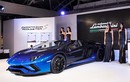 Siêu xe Lamborghini Aventador S “Đất, Nước, Lửa, Gió và Trời” 