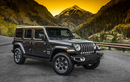 Jeep Wrangler bị điều tra vì dùng khung sườn kém chất lượng