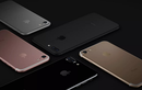 iPhone 7 Plus 32 GB thành "iPhone quốc dân" tại Việt Nam