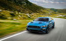 Ford Mustang 2020 - siêu "ngựa chiến" nhờ hãng độ Roush