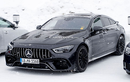 Mercedes-AMG GT 73 2021 với cỗ máy thợ săn hơn 800 mã lực