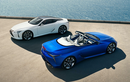 Lexus LC 500 Convertible 2021 sẽ bán ra từ hơn 2,3 tỷ đồng