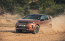 Ra mắt Land Rover Discovery Sport 2021 từ 975 triệu đồng