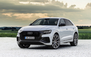 Audi Q8 TFSIe Quattro khởi điểm từ 88.609 USD tại châu Âu