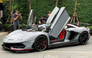 Đại gia Thái tậu Lamborghini Aventador SVJ Roadster đặc biệt