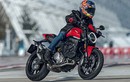 "Quỷ nhỏ" Ducati Monster 821 2021 đã giảm cân thành công