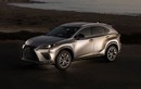 Lexus NX 2022 thế hệ mới "lộ hàng", sang chảnh và đẹp mắt hơn