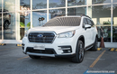 Subaru Evoltis 2021 rục rịch ra mắt Đông Nam Á, "đấu" Ford Explorer