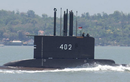 Indonesia chỉ có 72 giờ cứu sống các thủy thu tàu ngầm mất tích