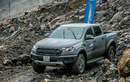 Ford Ranger Raptor tại Việt Nam "không kèm lạc" nhưng ít màu sắc