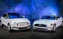 Ford Mustang Ice White Edition “bạch công tử" cho các tay chơi