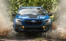 Subaru Forester Wilderness 2022 lộ diện, hầm hố và cá tính hơn
