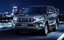 Toyota Prado 2022 phải lùi lịch ra mắt vì Land Cruiser "cháy hàng"?