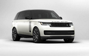 Range Rover 2022 sở hữu màu sơn 274 triệu, mâm 165 triệu đồng