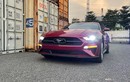 Đập thùng Ford Mustang 2021 cơ bắp, mui cứng tại Việt Nam