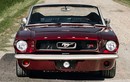 "Ông cụ" Ford Mustang 1964 hoàn mỹ sau 4,200 giờ trùng tu nhan sắc