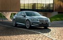 Cận cảnh Skoda Octavia - sedan giá rẻ sắp về Việt Nam "đấu" Mazda3