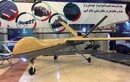 Ukraine cải biên vũ khí từ Thế chiến 2 để đối phó với UAV cảm tử