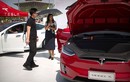 Tesla mạnh tay giảm giá xe điện khiến hàng loạt đối thủ "theo đuôi"