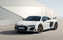 Audi R8 giới hạn 8 chiếc trước ngày "khai tử", giá từ 6 tỷ đồng