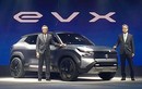 Suzuki đang phát triển ôtô điện giá rẻ, ra mắt ngay trong năm nay