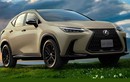 Chi tiết Lexus NX 2024 bản Overtrail Edition, giá từ 1,068 tỷ đồng