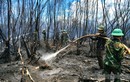 Toàn cảnh chiến đấu với "giặc lửa", khống chế cháy rừng ở Kiên Giang