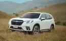 Subaru Forester tại Việt Nam giảm giá 140 triệu đồng, rẻ nhất phân khúc