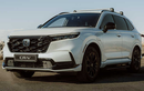 Honda CR-V Dream Pod - một chiếc "khách sạn con nhộng” di động