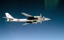 Nga nâng cấp xong máy bay "bà già" Tu-95MS vào năm 2020