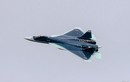 Tiêm kích tàng hình Su T-50: Tương lai của KQ Nga