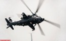 Tin "sốc": Trung Quốc cho không Pakistan trực thăng WZ-10