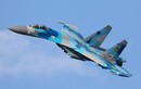 Ukraine biến tiêm kích Su-27 thành chiến đấu cơ NATO