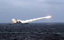 Chuyên gia Mỹ ngưỡng mộ tên lửa hành trình Nga đánh IS