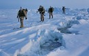 Đội đặc nhiệm Spetsnaz Nga tới Bắc Cực làm gì?